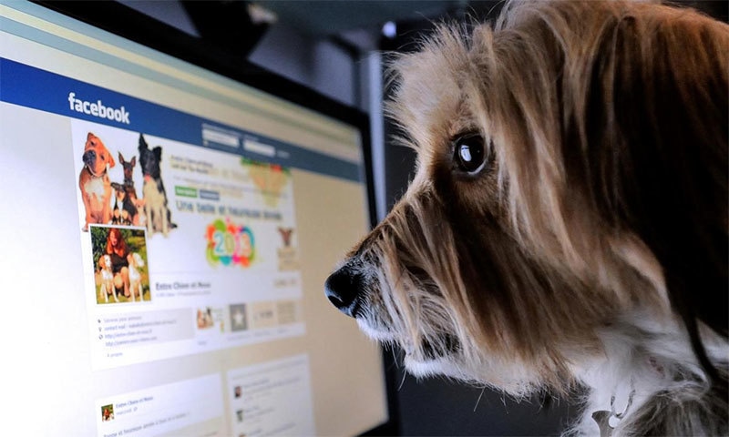 &mdash; اے ایف پی فائل فوٹو