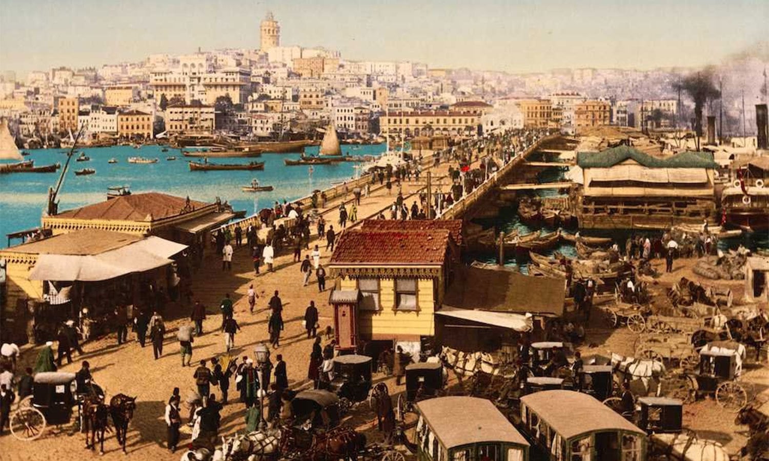 فوٹو بشکریہ وکی میڈیا کامنز