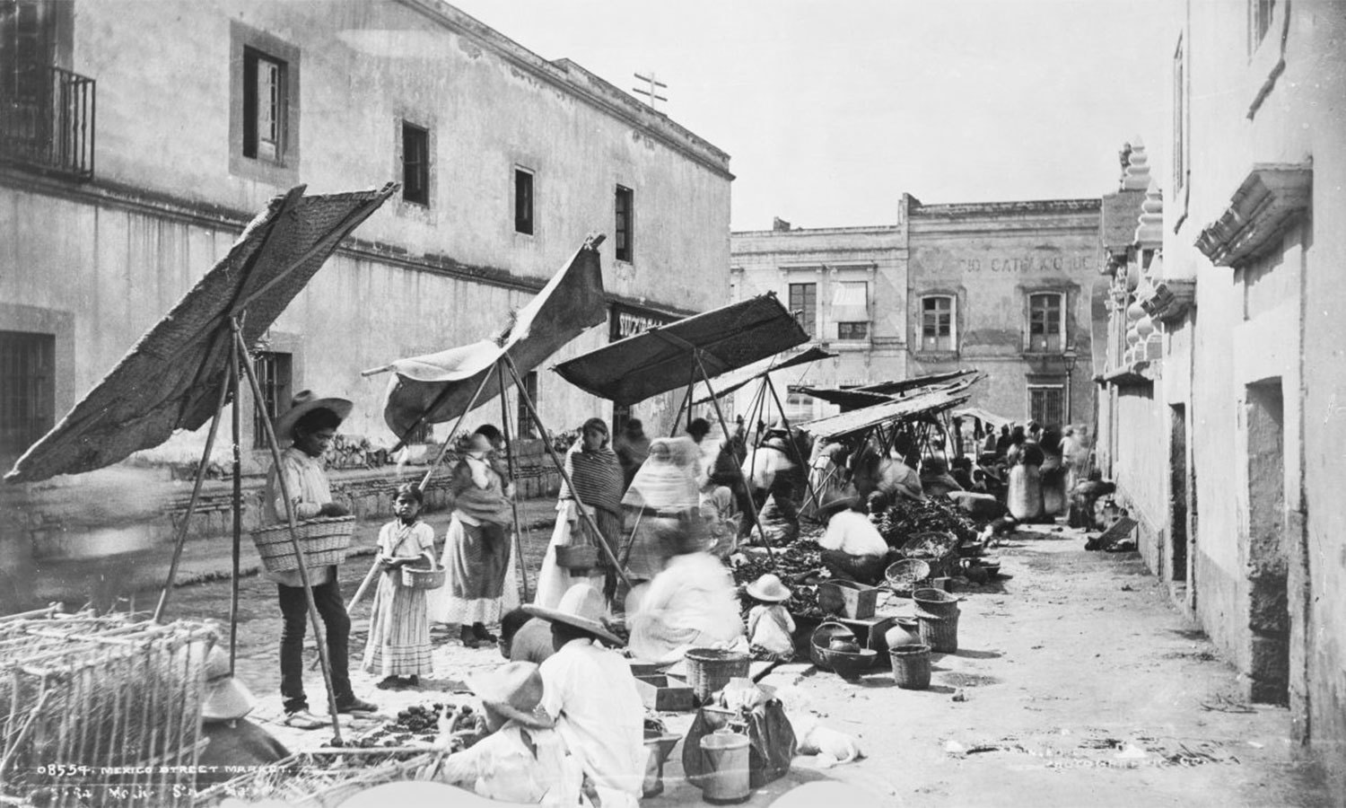 فوٹو بشکریہ وکی میڈیا کامنز