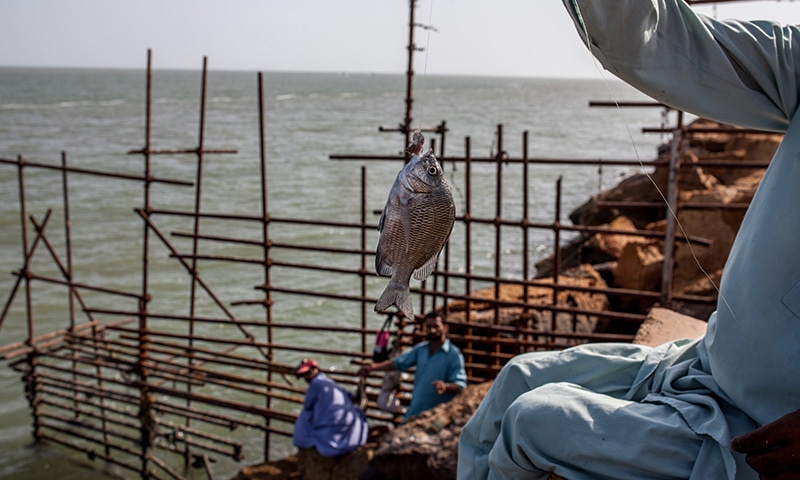 Over-polluted seas and oceans serve as repositories of human waste and chemical pollution.&mdash;White Star