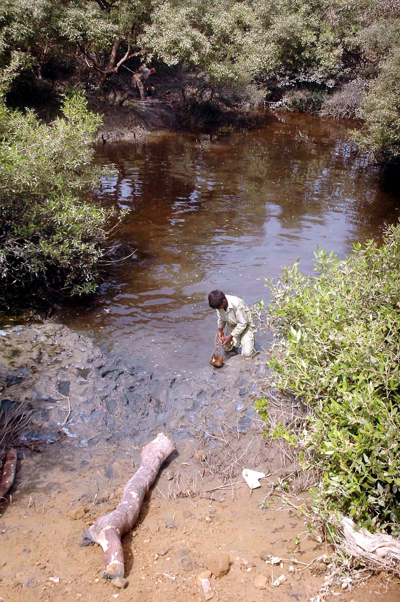 Conserving natural resources requires awareness among stakeholders.—White Star