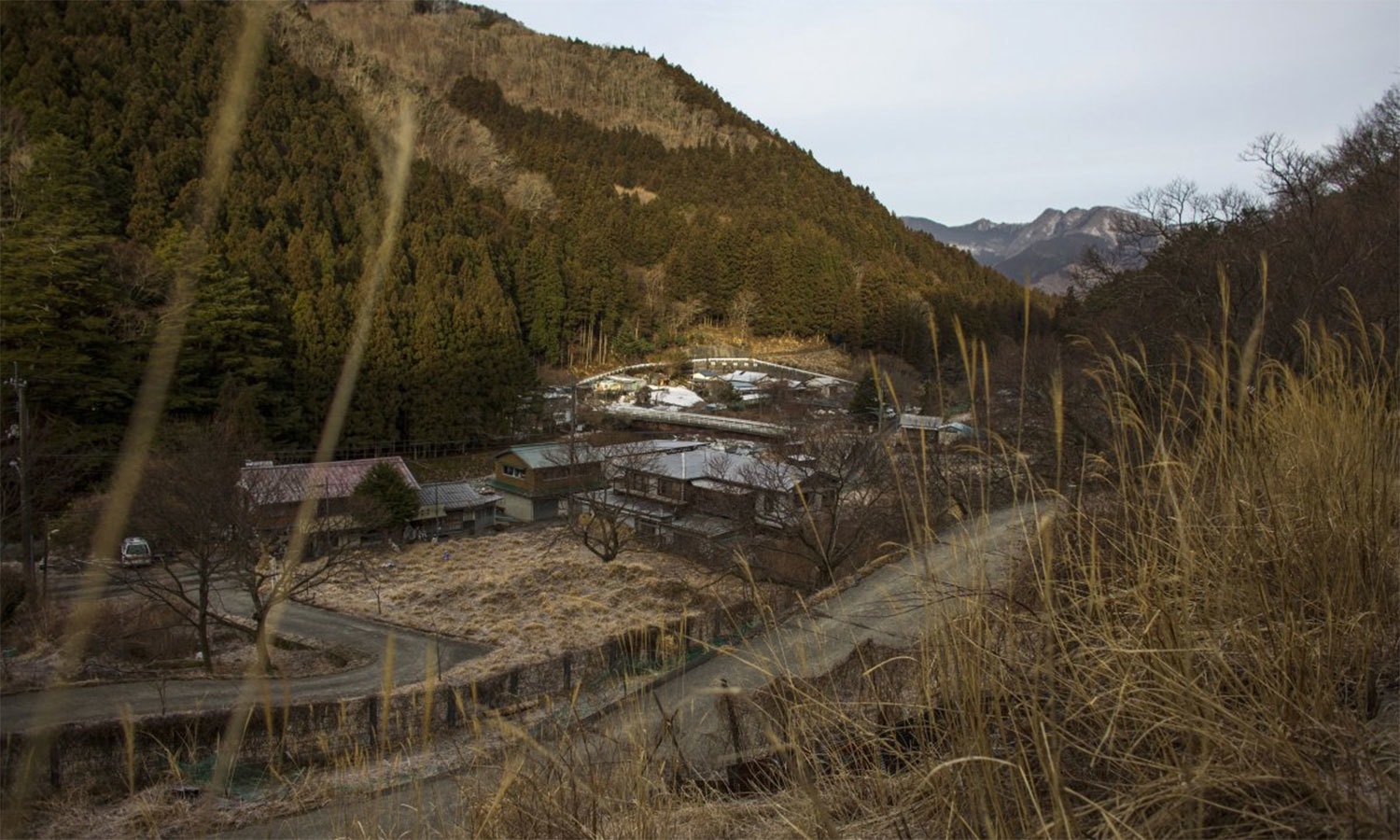 رائٹرز فوٹو