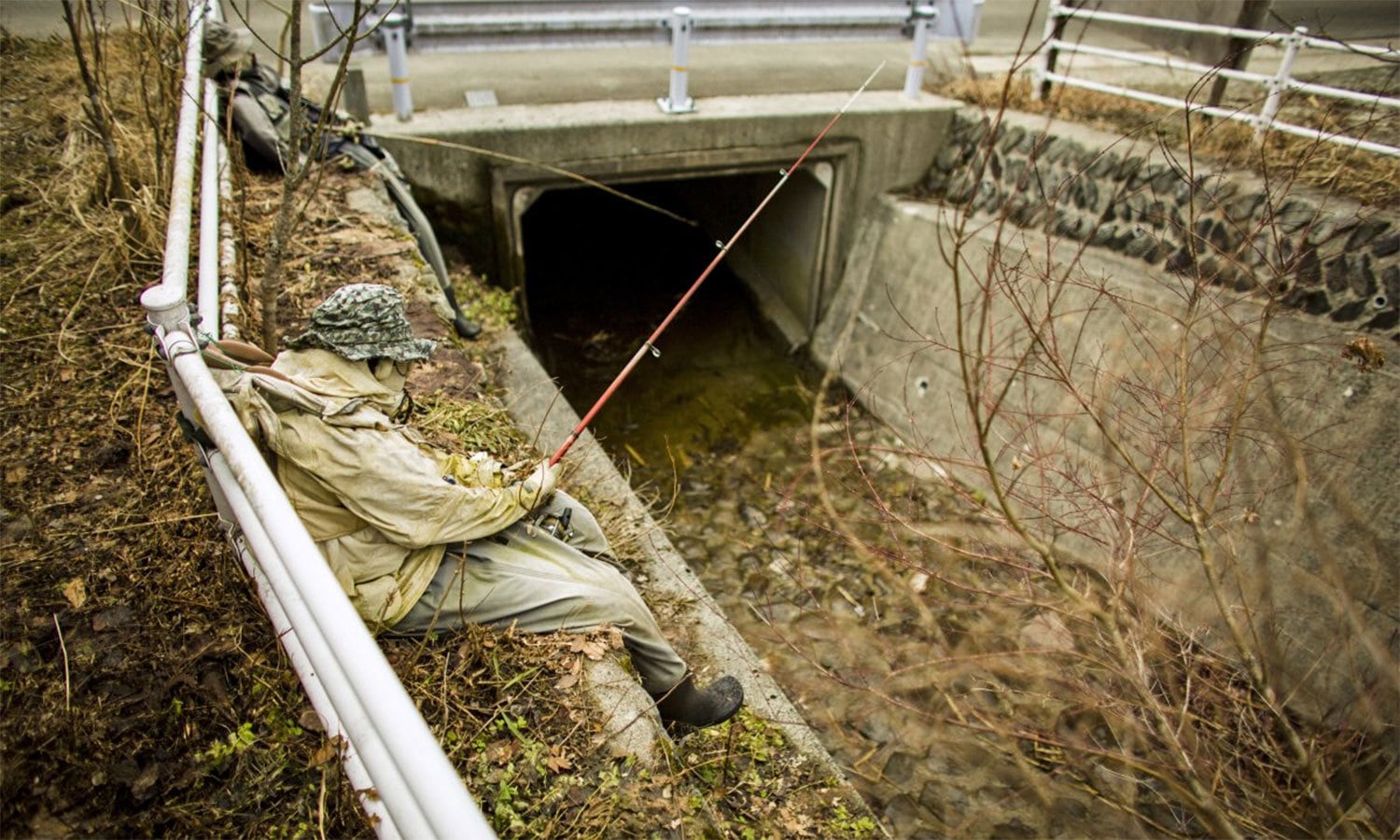 رائٹرز فوٹو