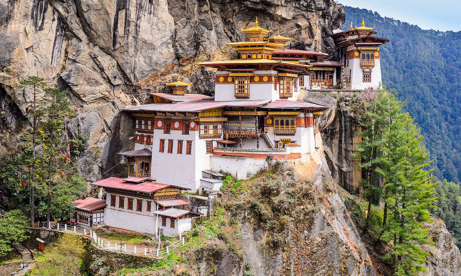 کریٹیو کامنز فوٹو