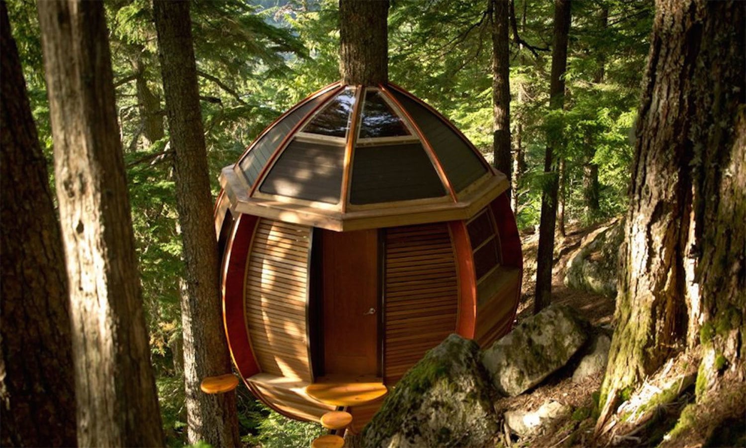 فوٹو بشکریہ جوئیل ایلن