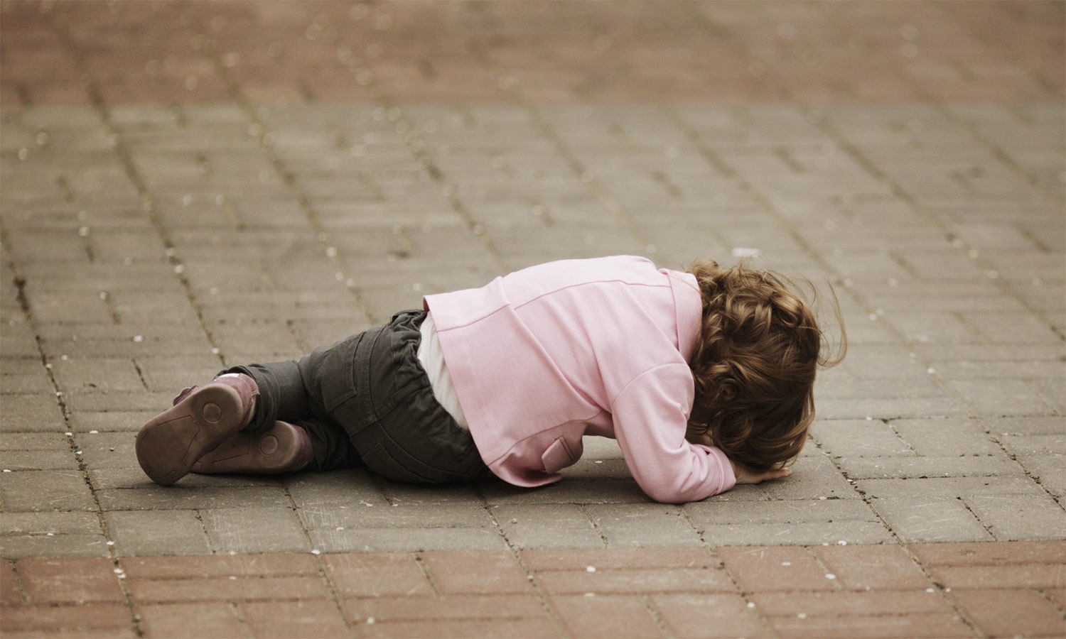 کریٹیو کامنز فوٹو