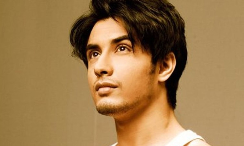 علی ظفر پاکستان کے کامیاب اداکار اور گلوکار شمار ہوتے ہیں &mdash; فوٹو/ فائل