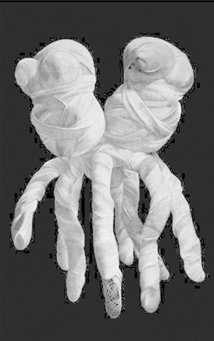 Drawing Appendage — Conjunctive Symbiosis (Octopus)