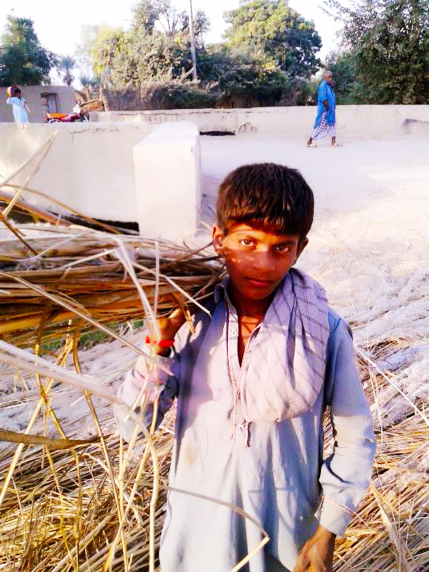 A young boy collects natural supplies to make chairs from the fields.