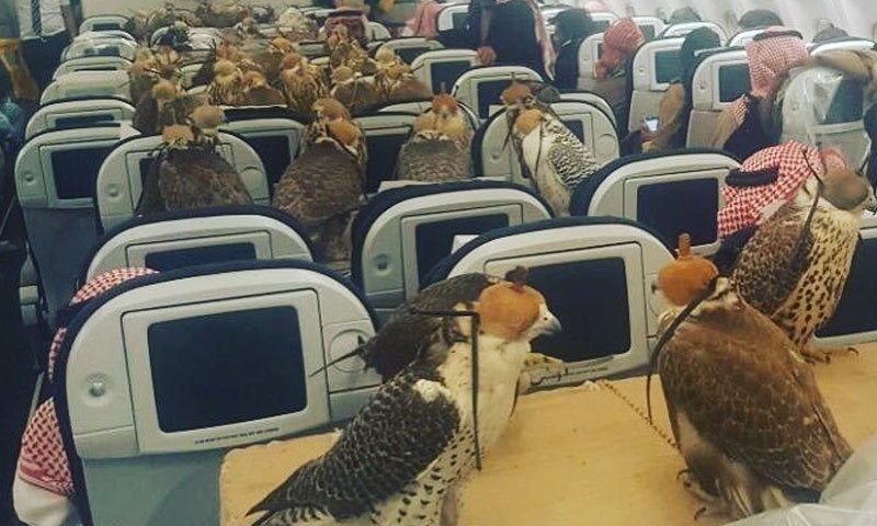 یہ تصویر ایک عرب ایئرلائن کی بزنس کلاس کی ہے—فوٹو بشکریہ: reddit/lensoo