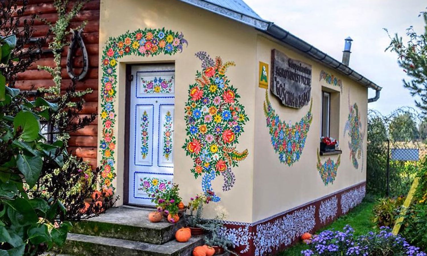 تصویر بورڈ پانڈا