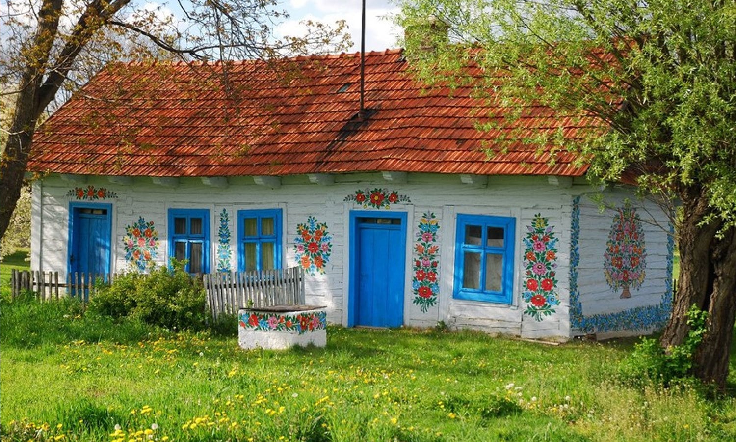 تصویر بورڈ پانڈا