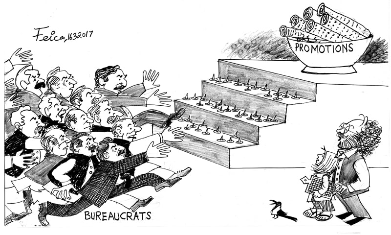 Feica's Cartoon