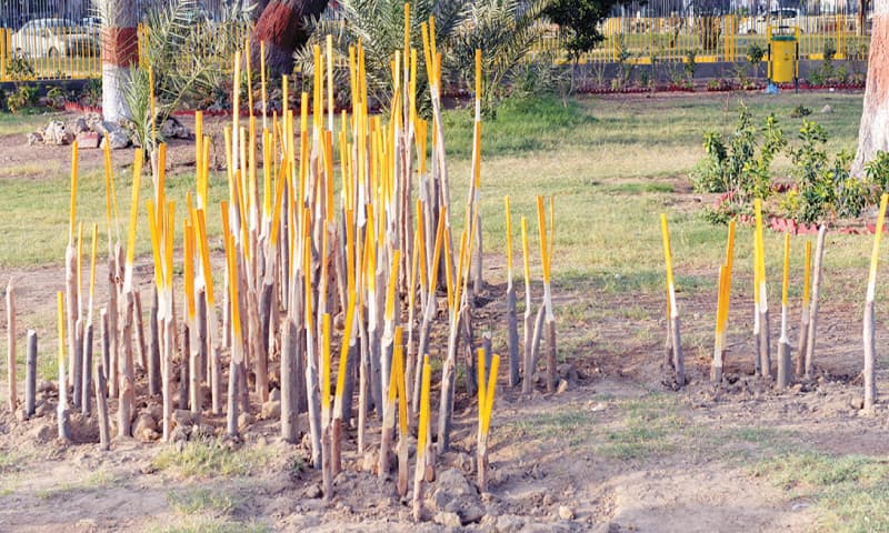 Another installation on view / Photos by White Star