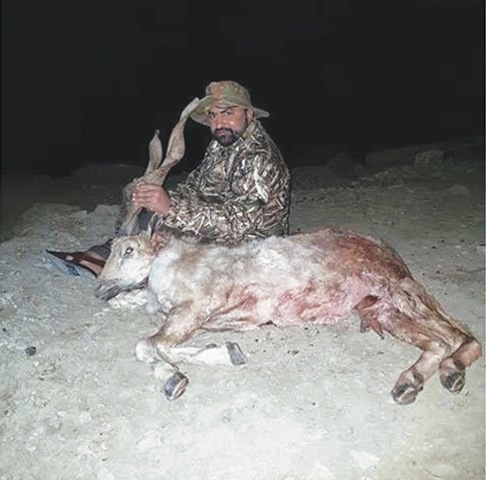 Sarfaraz Bugti&rsquo;s photo with the hunted markhor that went viral.