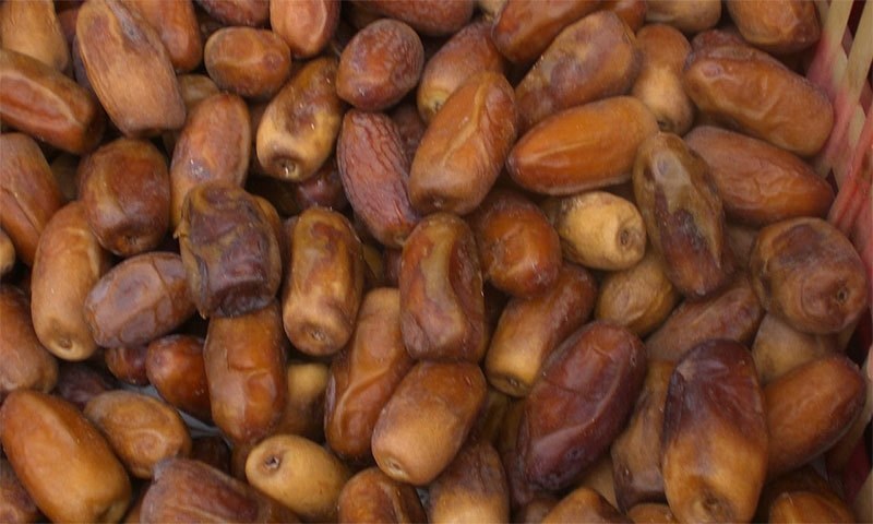 — فوٹو بشکریہ وکی پیڈیا — فوٹو بشکریہ وکی پیڈیا