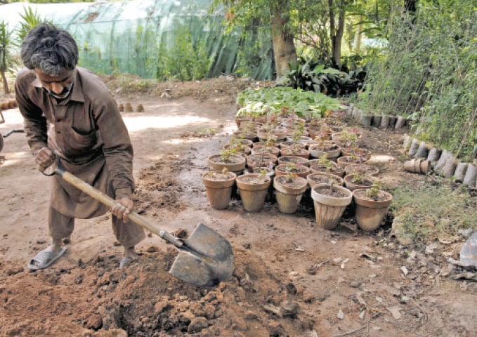 A gardener prepares the earth with fertiliser before filling containers and pots. &mdash; Photos by Mohammad Asim