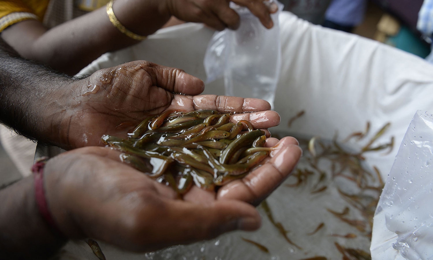 فوٹو &mdash; اے ایف پی