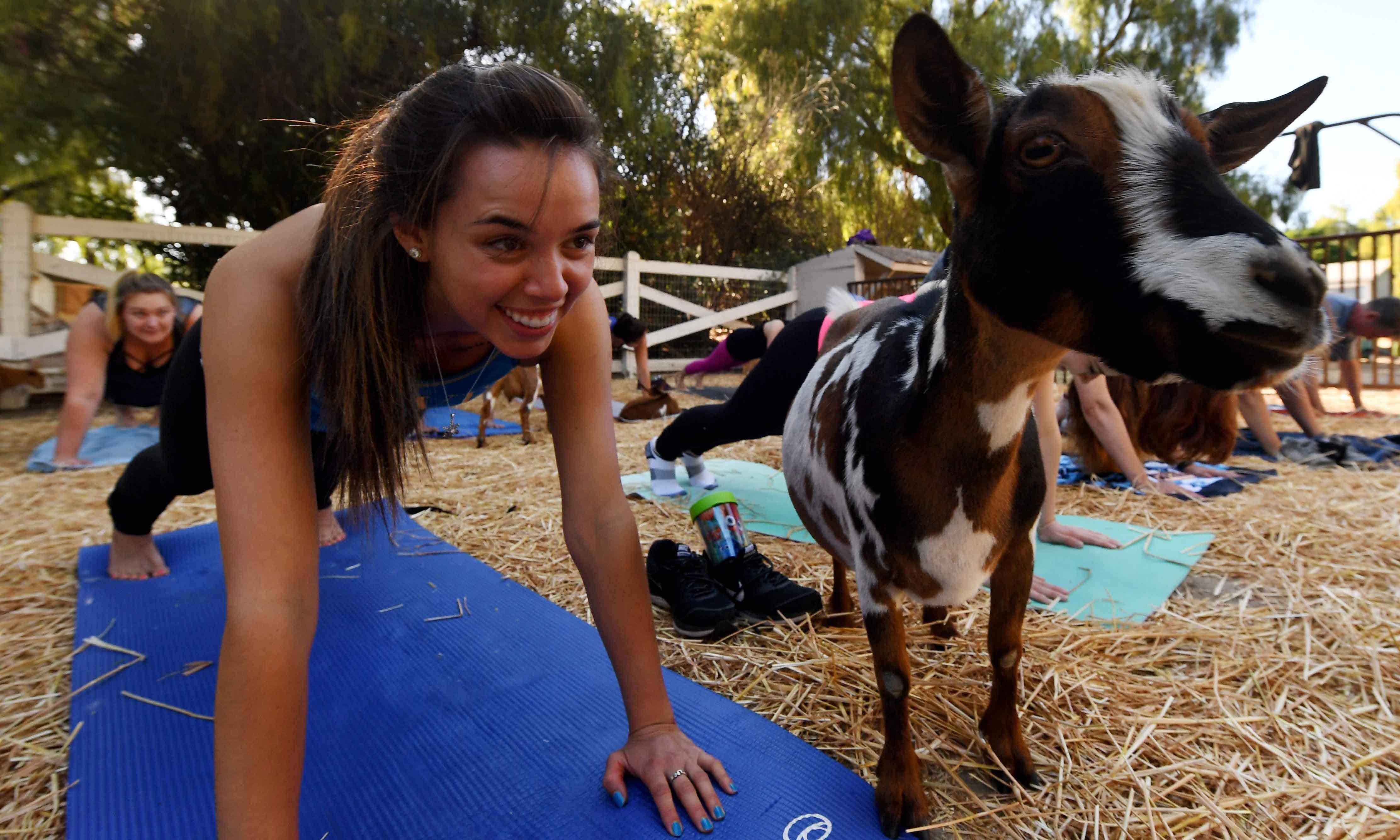 فوٹو/ اے ایف پی&mdash;۔