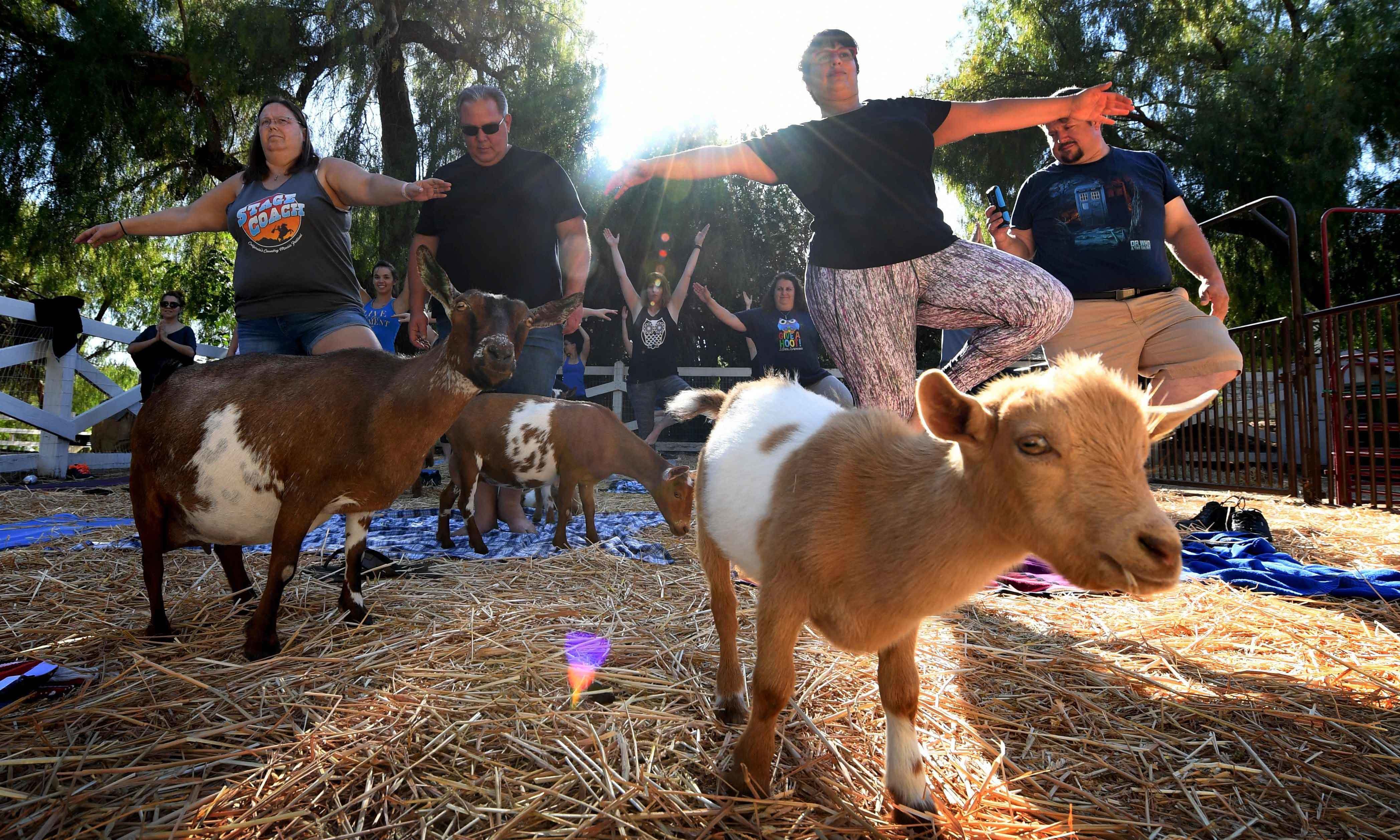 فوٹو/ اے ایف پی&mdash;۔