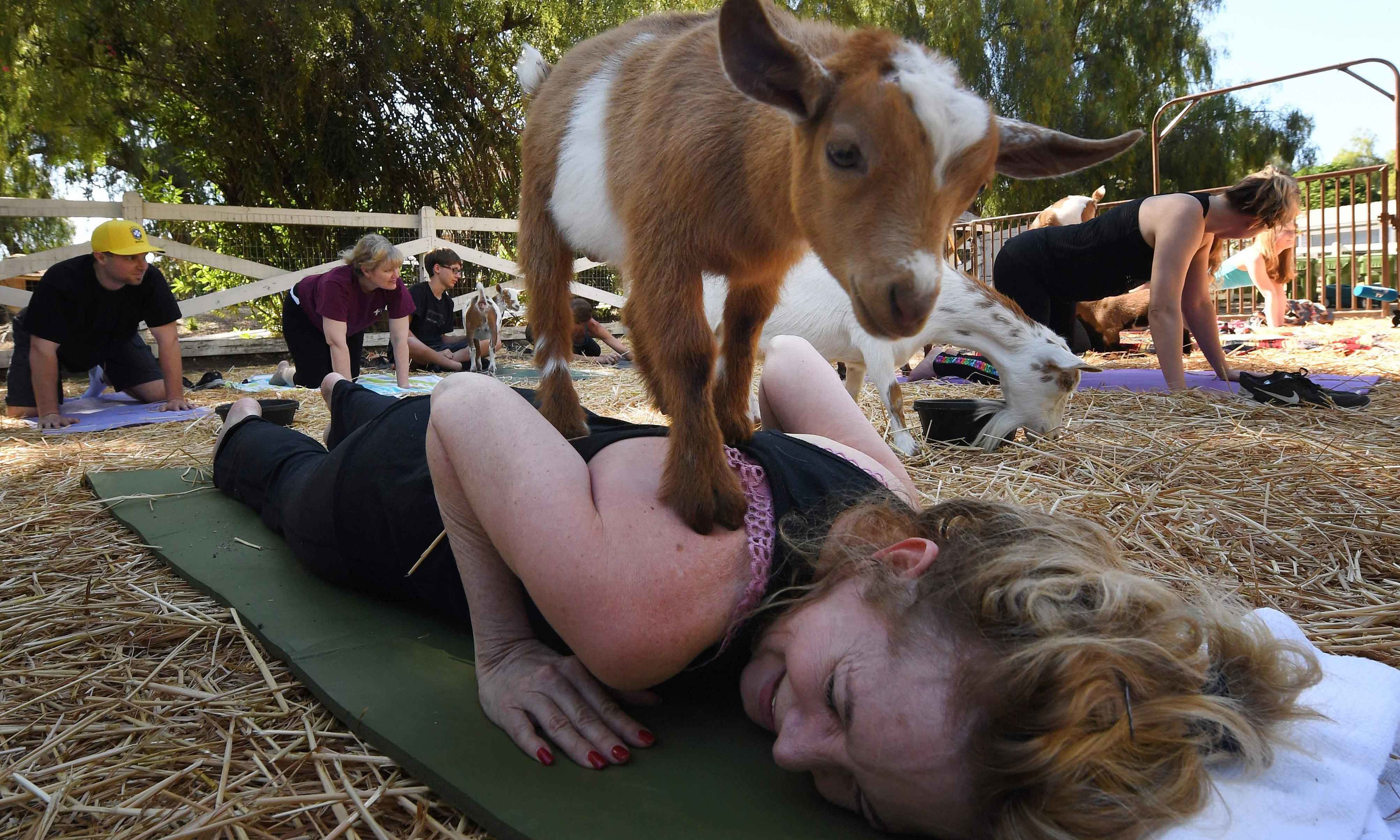 فوٹو/ اے ایف پی&mdash;۔