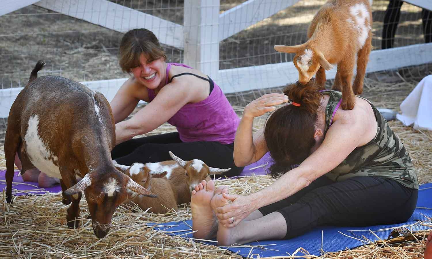 فوٹو/ اے ایف پی&mdash;۔