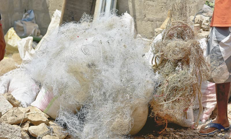 GHOST fishing gear stored in Asif Baloch&rsquo;s home in Rehman Goth. Asif Baloch and Absar Khan of the Olive Ridley Project have recovered nearly 700kg of ghost nets which they will now store in a 10x10 room in the area.&mdash;Fahim Siddiqi/ White Star