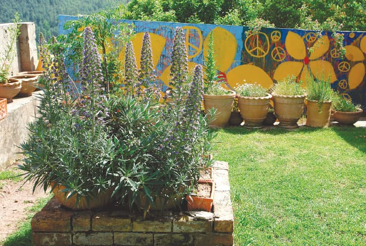 Flower pots can make a garden lively