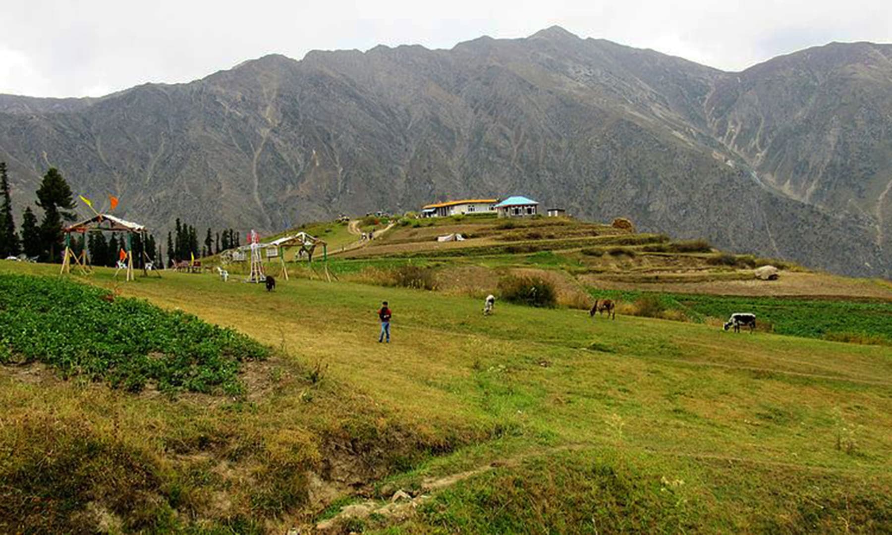 لالہ زار کا سر سبز میدان &mdash;تصویر نواب تنویر/کریئٹو کامنز