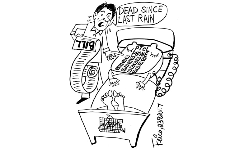 Feica's Cartoon