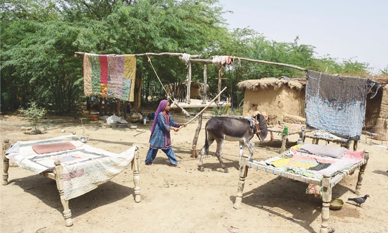 A girl demonstrates how a donkey slowly cranks giant hand-made fans to cool sleeping families at night.—AFP A girl demonstrates how a donkey slowly cranks giant hand-made fans to cool sleeping families at night.—AFP