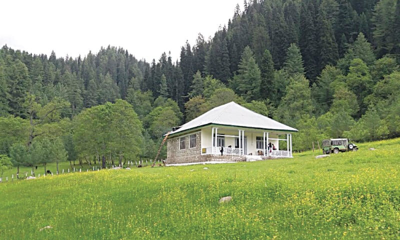 At the Manoor conserve, a tiny hut is the only thing you can spot in the middle of a buttercup field