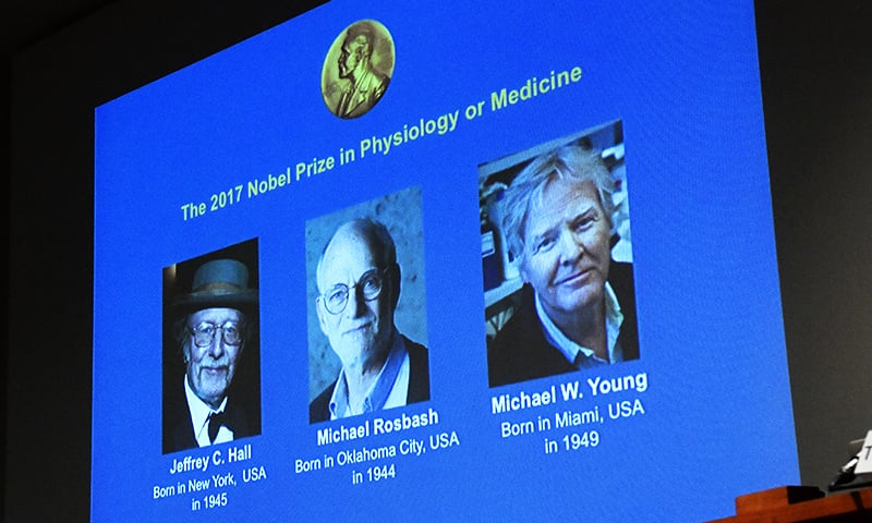 Winners of the 2017 Nobel Prize for Medicine are displayed, from left, Jeffrey C. Hall, Michael Rosbash and Michael W. Young. ─ AP