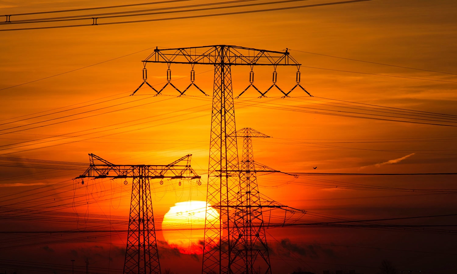 اس طرح کا نطارہ کس کو پسند نہیں آئے گا؟&mdash; اے پی فوٹو