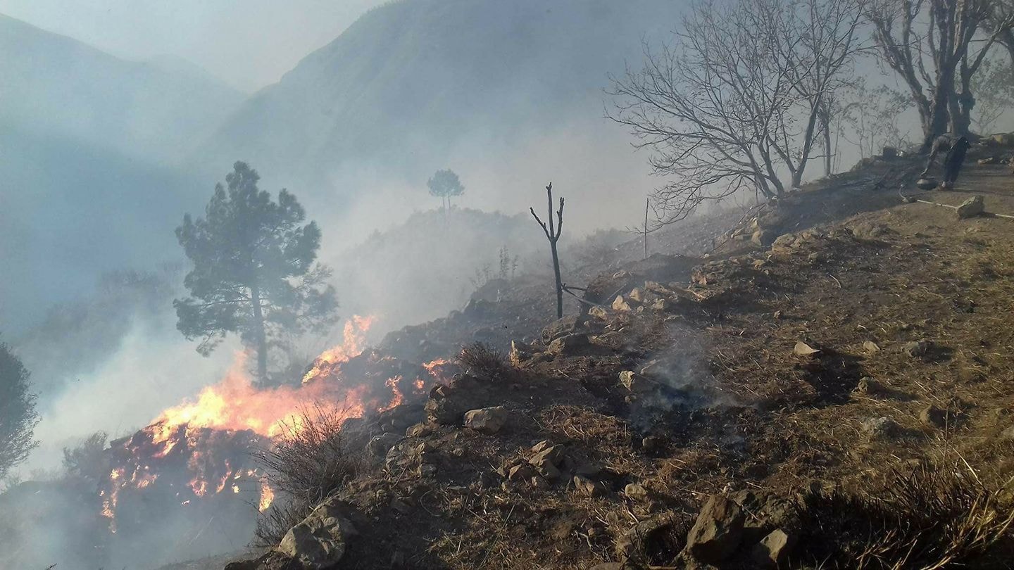 The fire has badly affected the areas of Bisham city, Kormang Gandorai and Hawalai, says divisional forest officer. —Photo provided by author