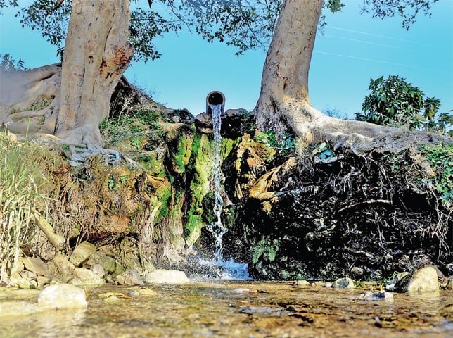 The spring in Sadhu ka Bagh is the main source of water for the village of Shah Allah Ditta.