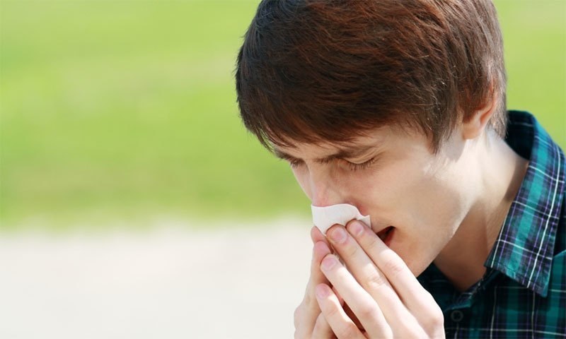 &mdash; شٹر اسٹاک فوٹو