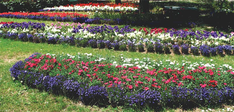 Minimum grass, maximum flowers