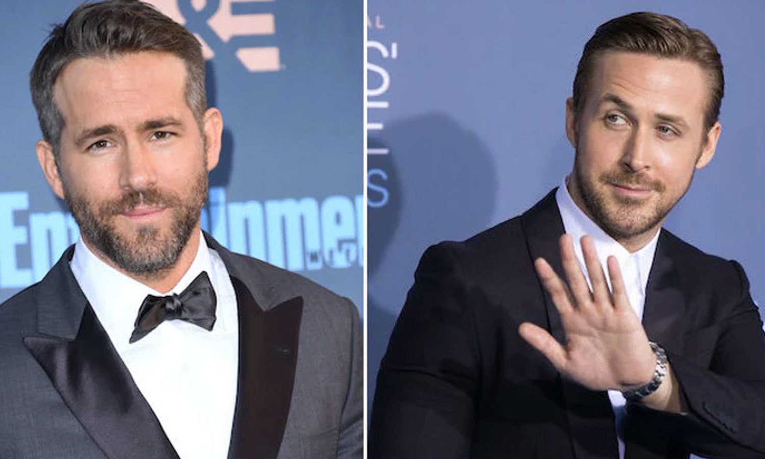 شٹر اسٹاک فوٹو