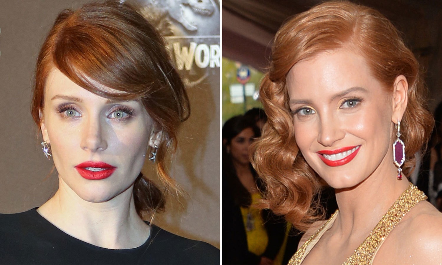 شٹر اسٹاک فوٹو