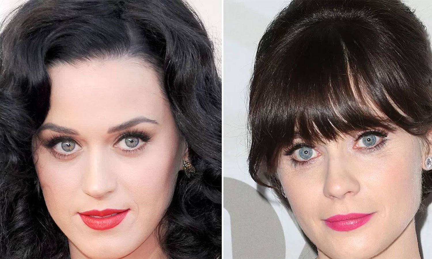 شٹر اسٹاک فوٹو