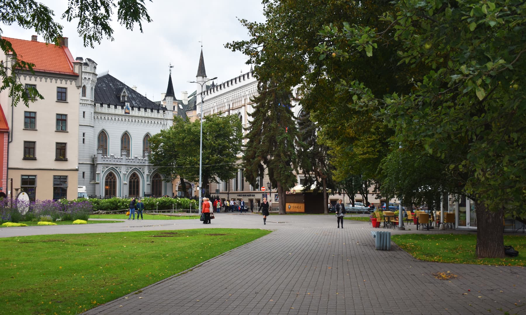 اولڈ ٹاون میں ایک چھوٹا سا نخلستان&mdash;تصویر رمضان رفیق