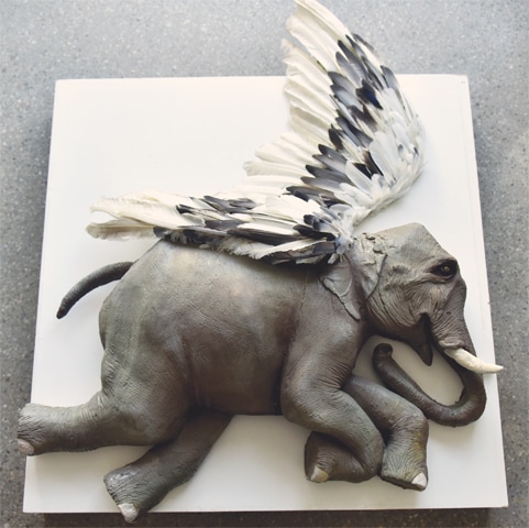 Flying Elephant by Arsalan Farooqi