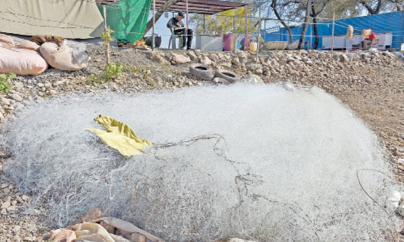 The net used for fishing.