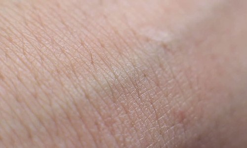 &mdash; شٹر اسٹاک فوٹو