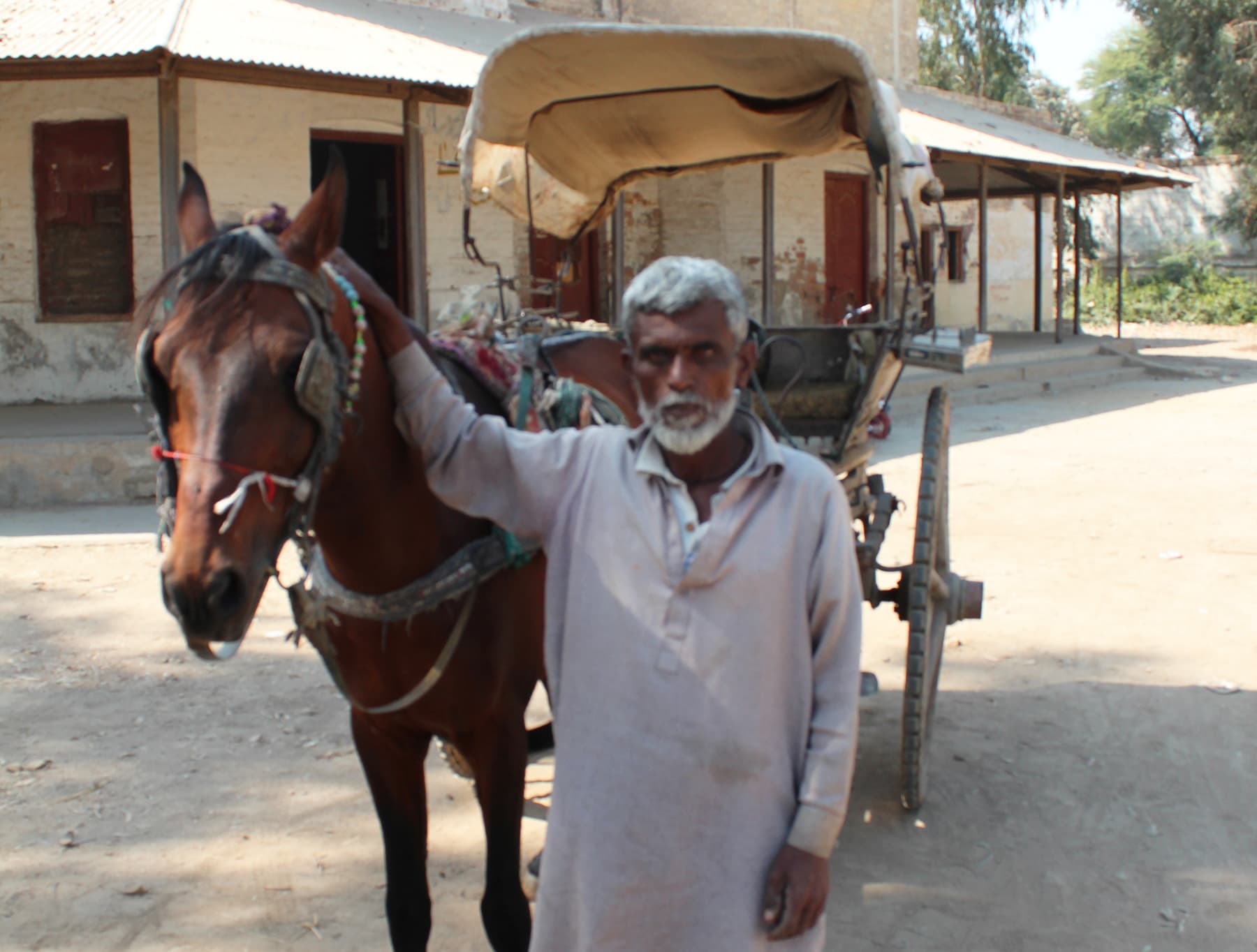 محمد جمن 41 سال سے تانگا چلا رہے ہیں&mdash;تصویر نبیل ابڑو