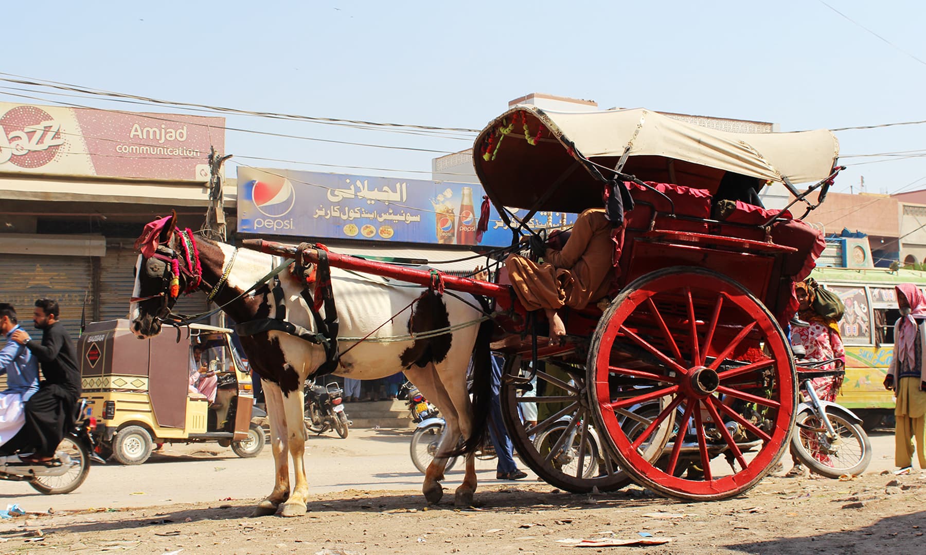 شاذ و نادر ہوچکے تانگے&mdash;تصویر نبیل ابڑو