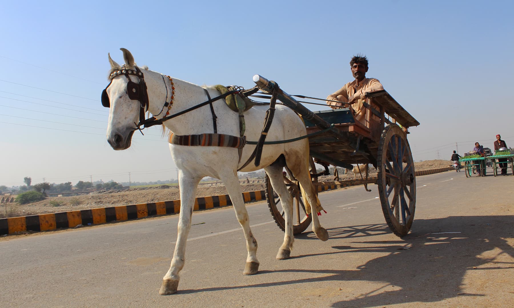 ایک تانگے والا&mdash;تصویر نبیل ابڑو