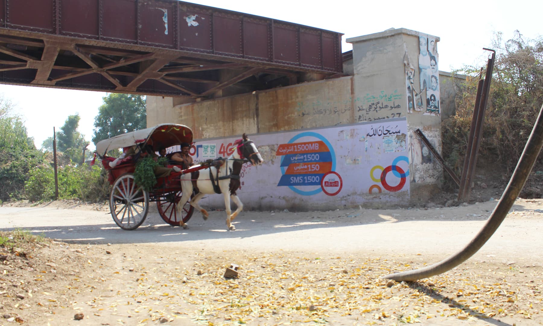 مسافر کی راہ تکتا ایک تانگا&mdash;تصویر نبیل ابڑو