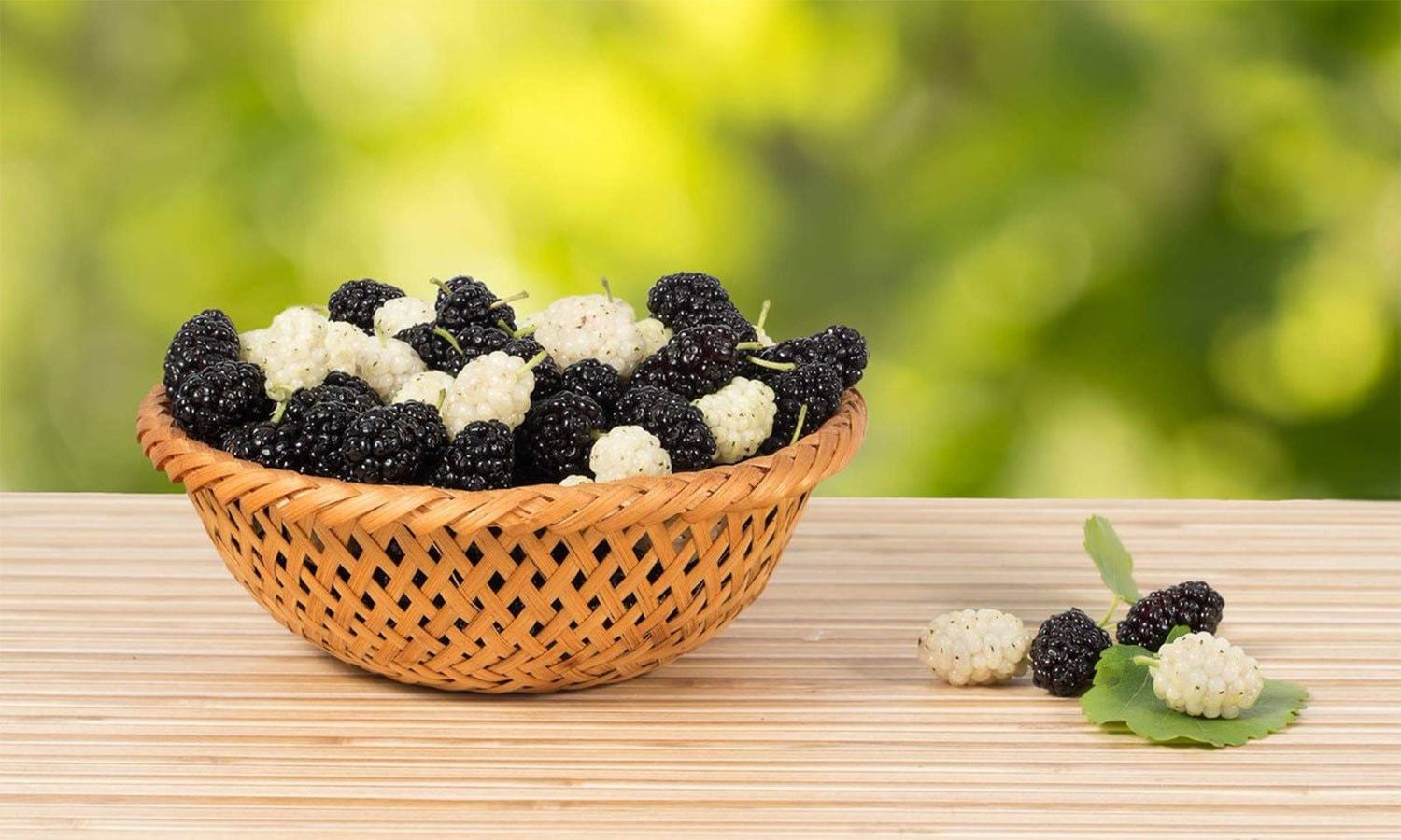 — شٹر اسٹاک فوٹو — شٹر اسٹاک فوٹو